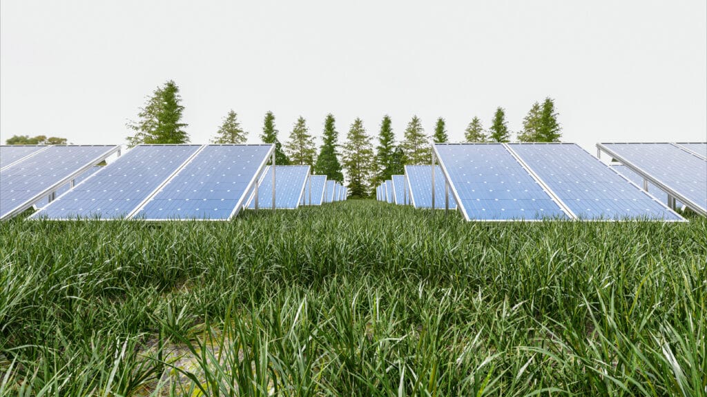 energia solar para fazenda